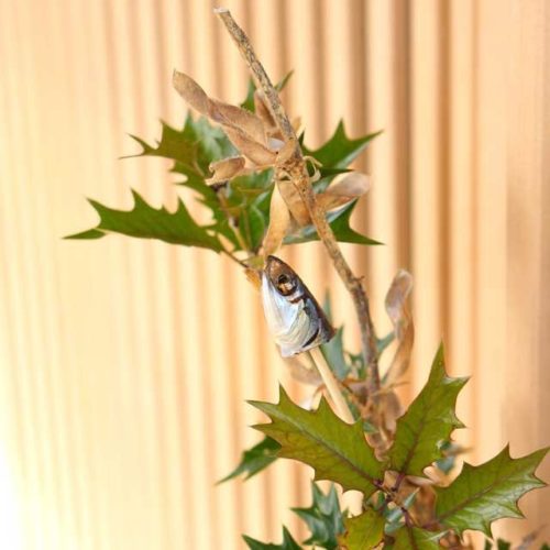 節分の地域の違い 豆まきや食べ物の地域性を調査 雑スク Life 節分の地域の違い 豆まきや食べ物の地域性を調査 雑スク Life